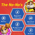 Paw Patrol Multivitamin Gummy, 60 Gummies