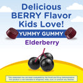 Kids Elderberry Complex Gummies: Delicious berry flavor kids love shown with fresh elderberries. Yummy and appealing.