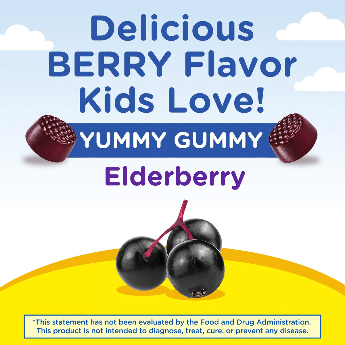 Kids Elderberry Complex Gummies: Delicious berry flavor kids love shown with fresh elderberries. Yummy and appealing.
