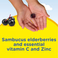 A child's hands hold an elderberry gummy from Kids Elderberry Complex, surrounded by fresh elderberries.
