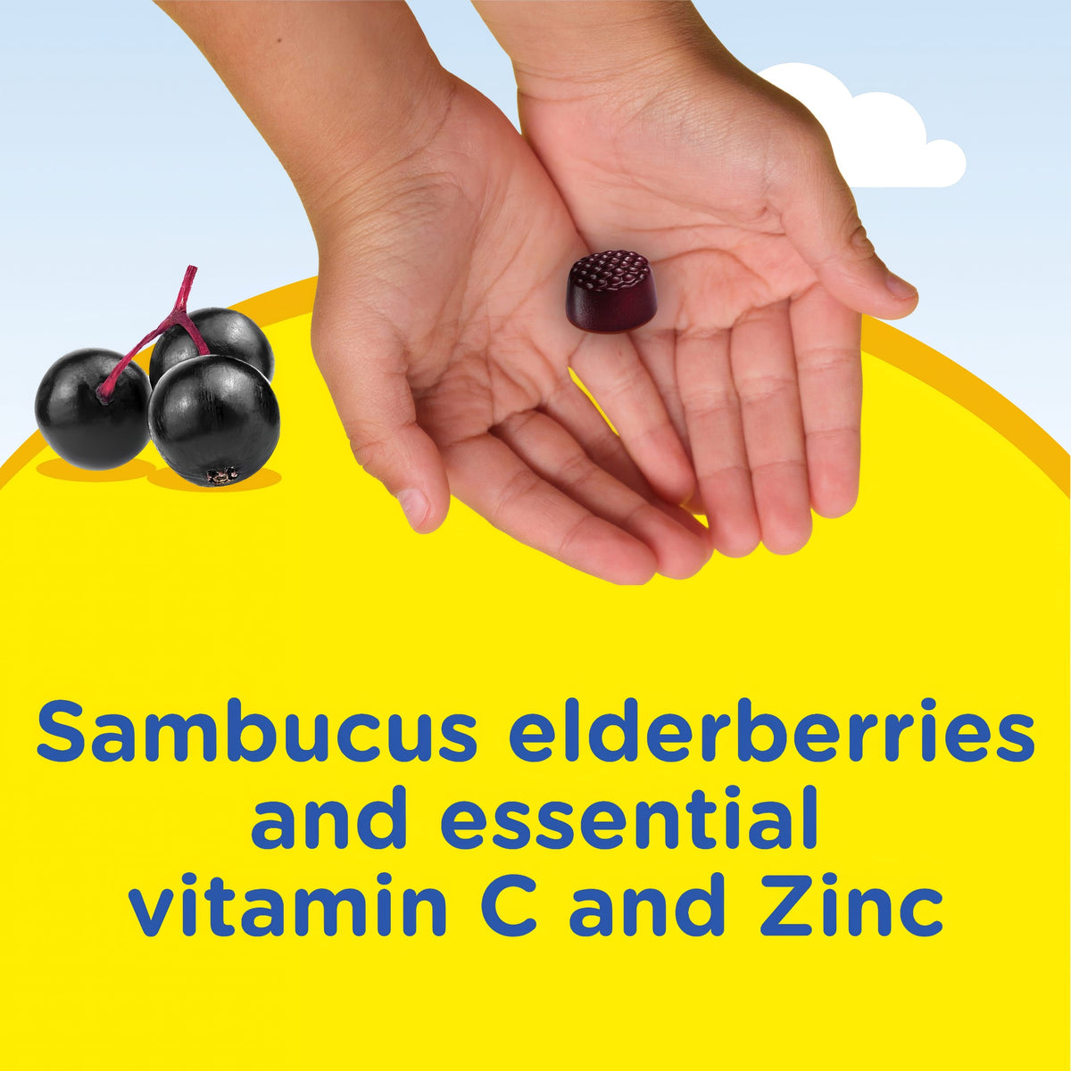 A child's hands hold an elderberry gummy from Kids Elderberry Complex, surrounded by fresh elderberries.