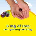 Iron + B Vitamins & Zinc Gummy Bear, 60 Vegan Gummies